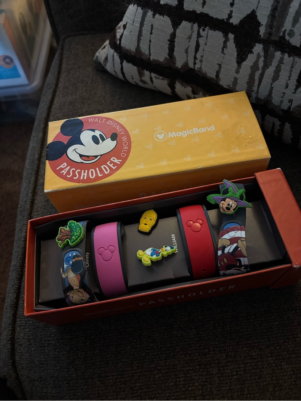 4 Disney Adult MagicBand Passholder Set - Pink & Red with 4 Character Charms